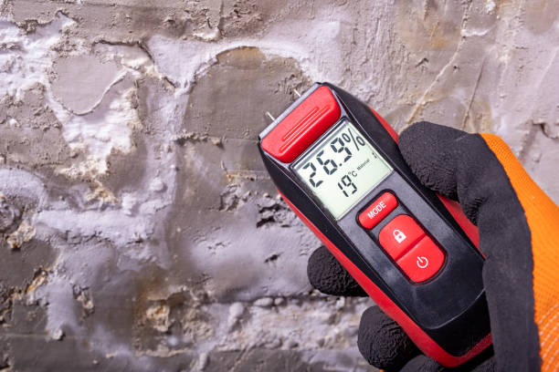 Best Emergency Mold Remediation in Cedar Hill, TX