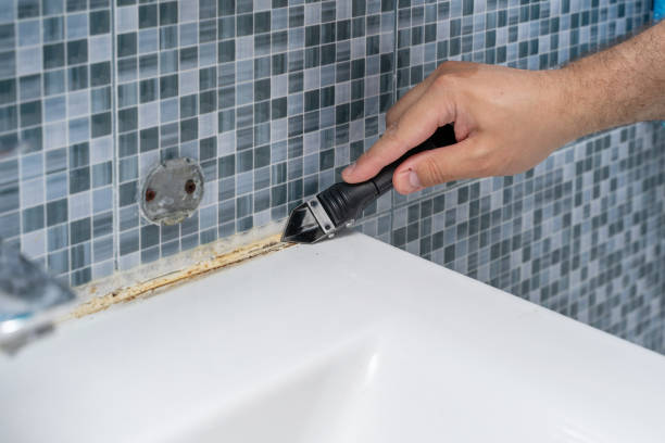 Best White Mold Remediation in Cedar Hill, TX